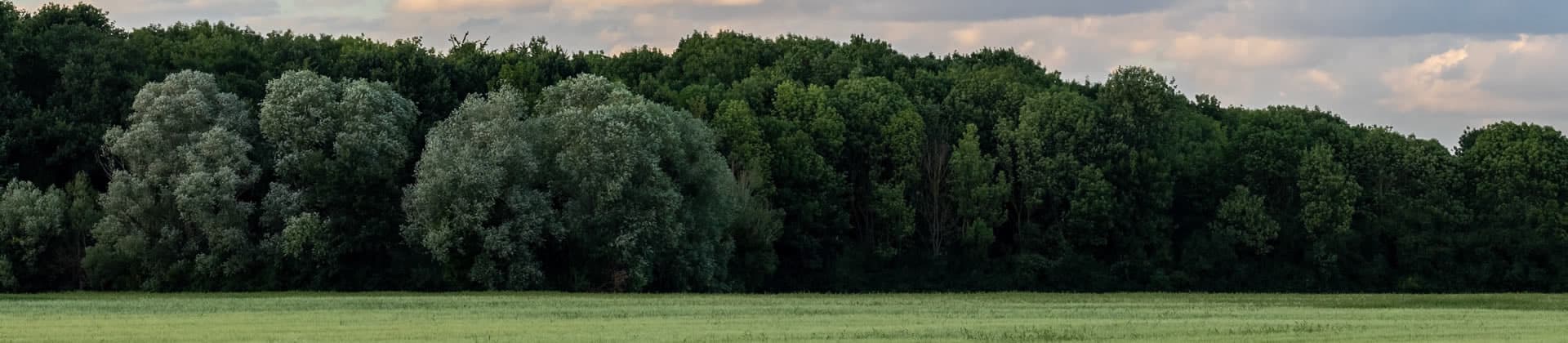 Περιβαλλοντικά θέματα