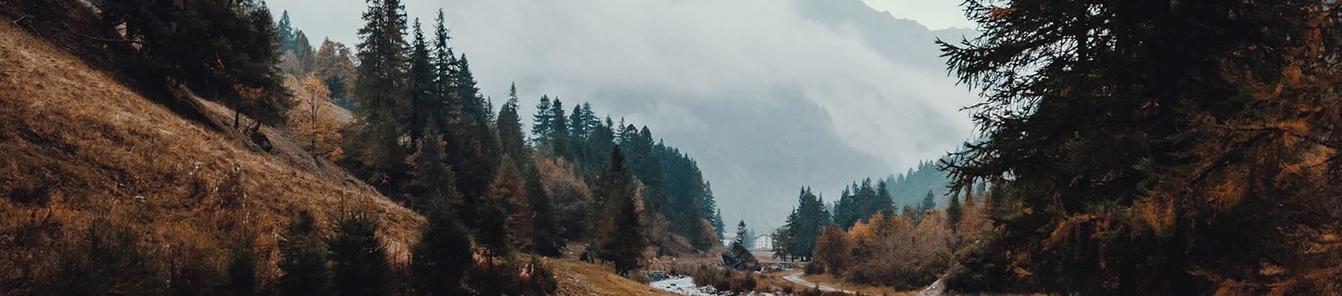 ηλεκτρονικό κατάστημα